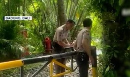 巴厘岛被害事件爆料视频,惊心动魄的真相揭秘